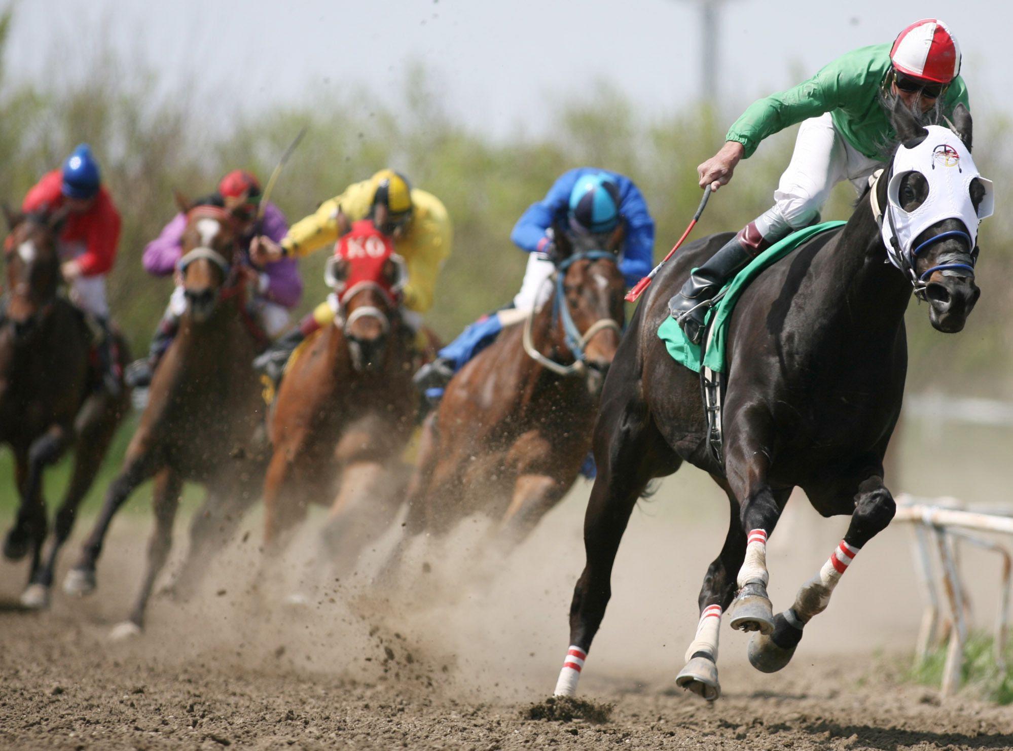 Horse race wallpaper and image, picture, photo