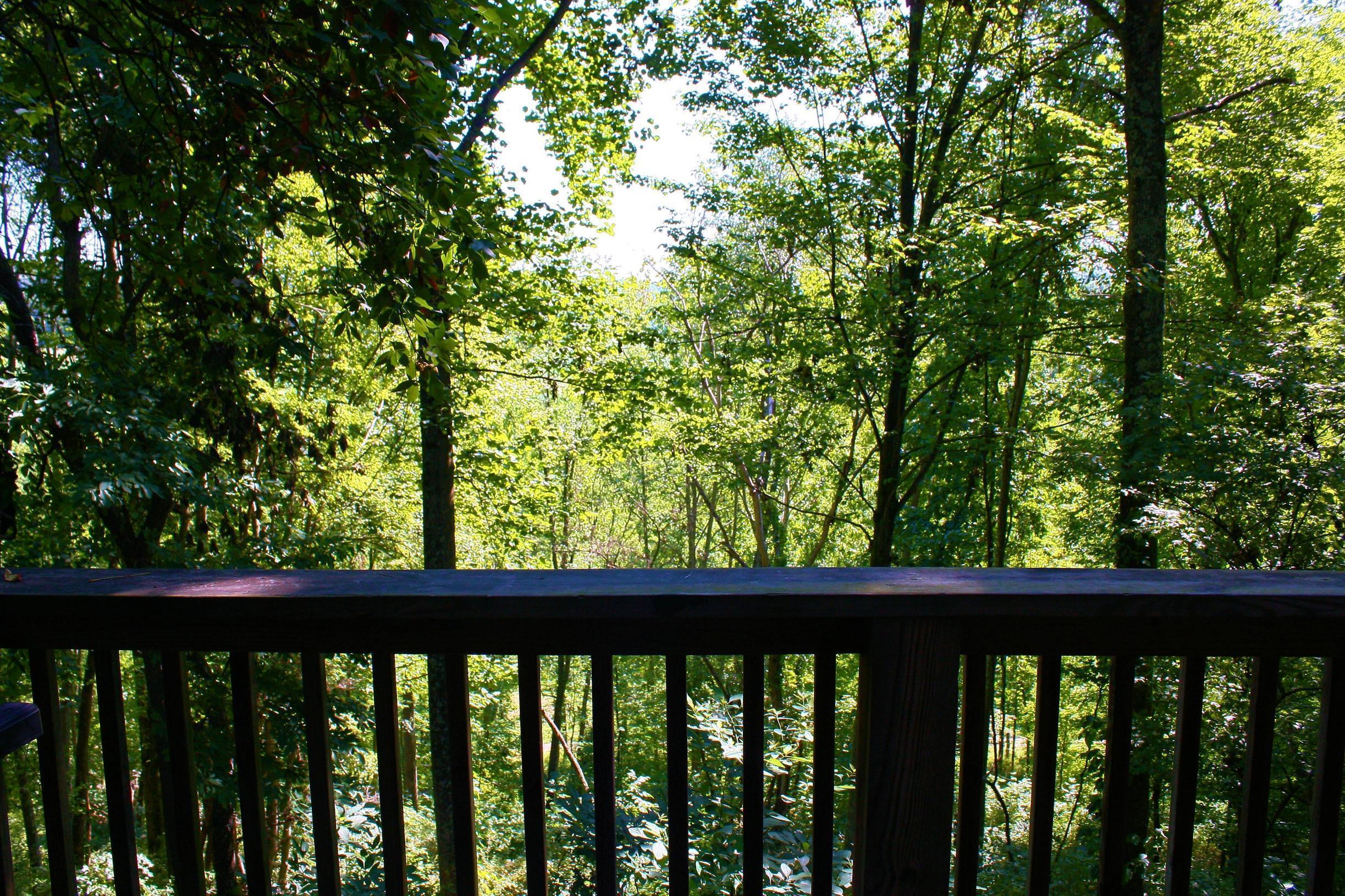 Deck Railing With Woods Background Backdrop Pages Free