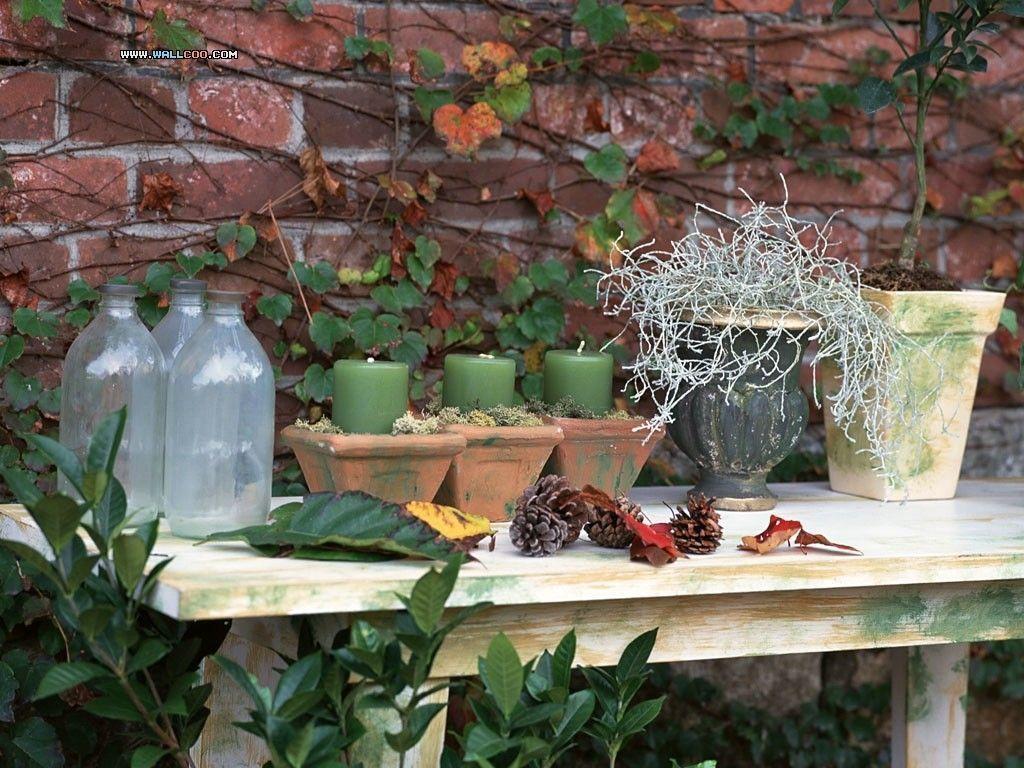 Family Garden Gardening Wallpaper 1024x768 NO.12