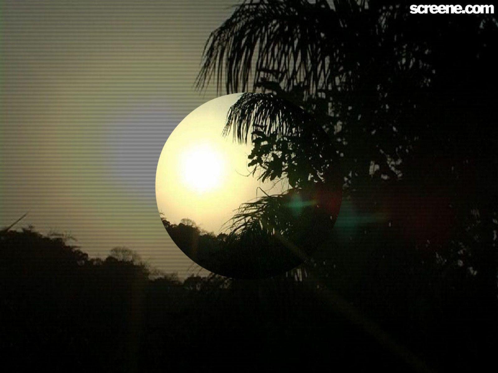 Moon Beauty Wallpaper