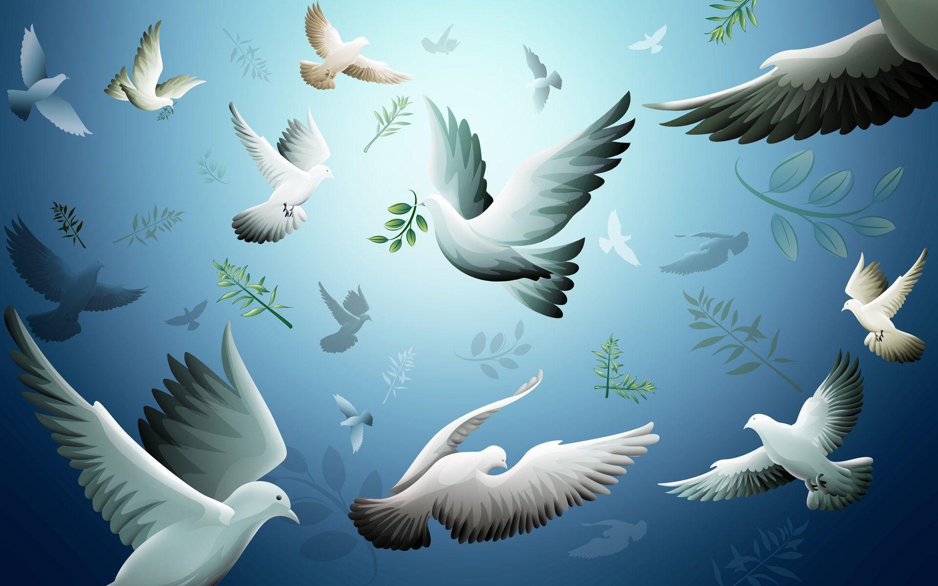peace Peace Wallpaper
