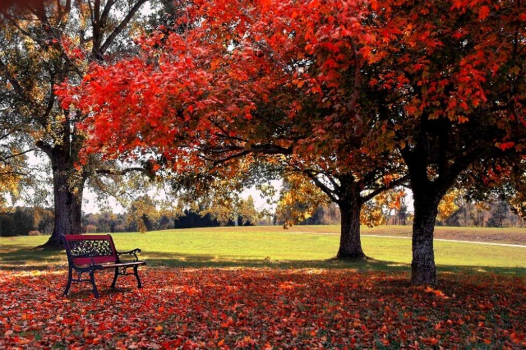 Free Background For Computer 17 HD Wallpaper Background