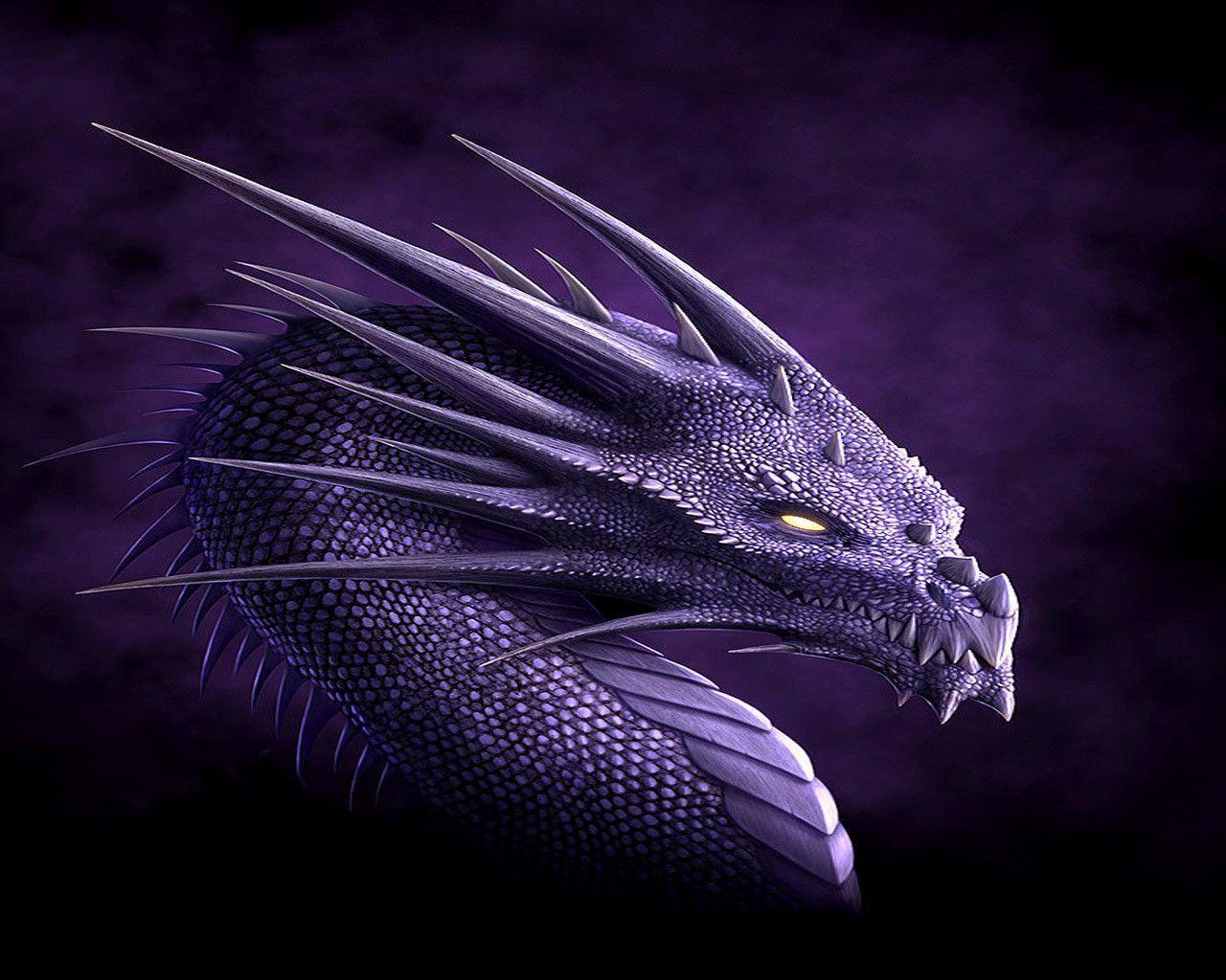 hd dragon wallpaper