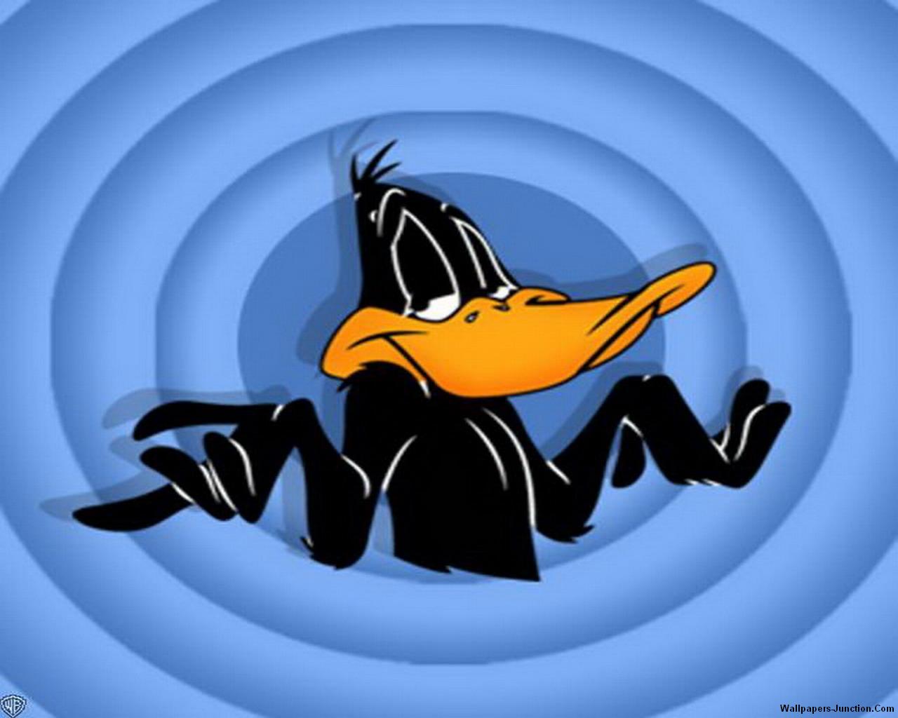 Daffy Duck Wallpaper 1015 HD Picture. Top Wallpaper Desktop