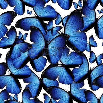 image For > Blue Butterflies Background