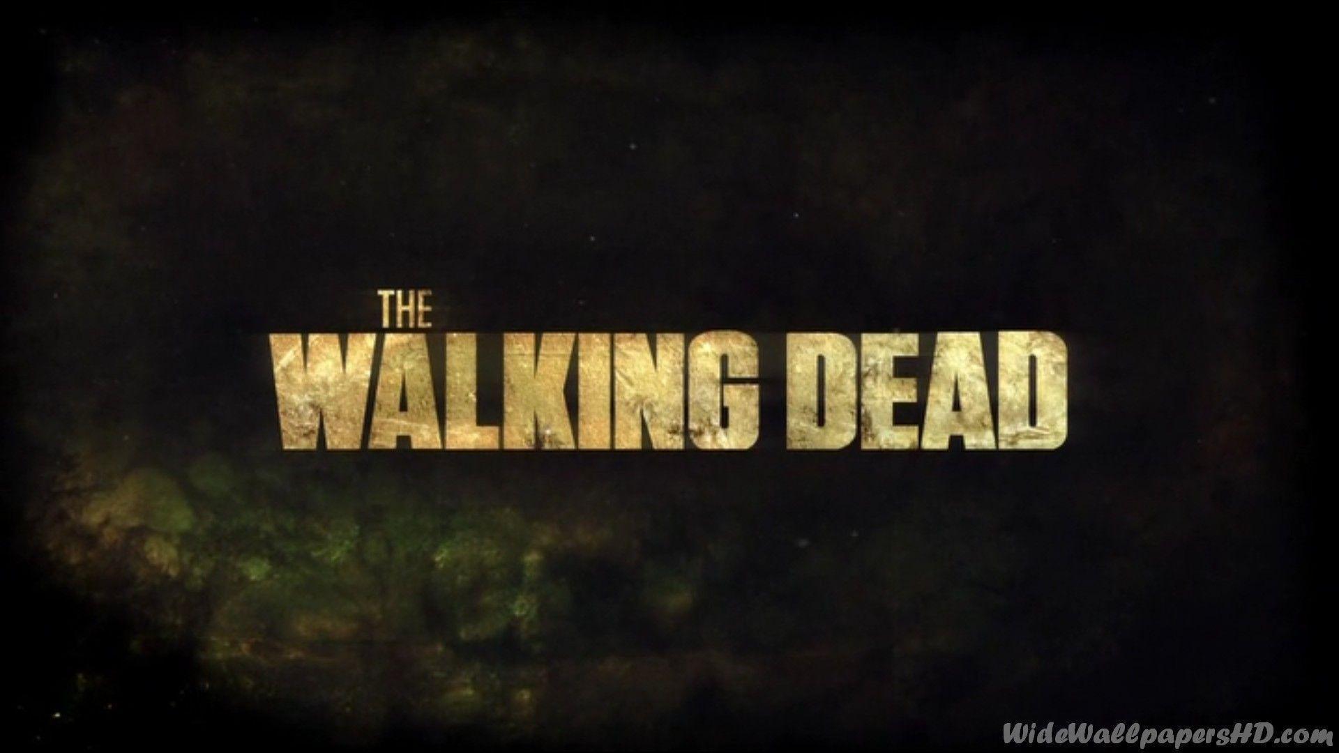 Wallpapers Hd The Walking Dead Backgrounds 1 HD Wallpapers