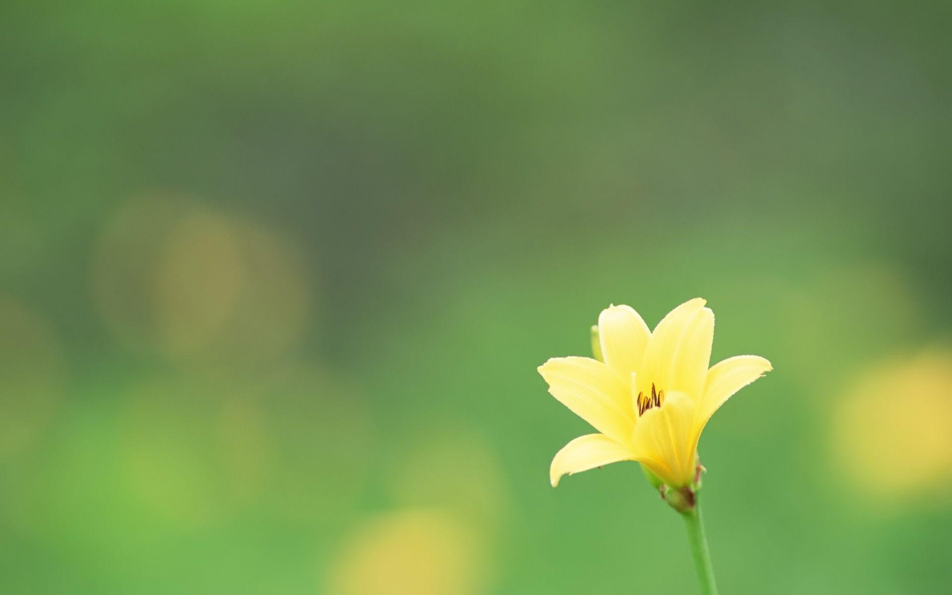 Free Background Image For Desktop Wallpaper and Background
