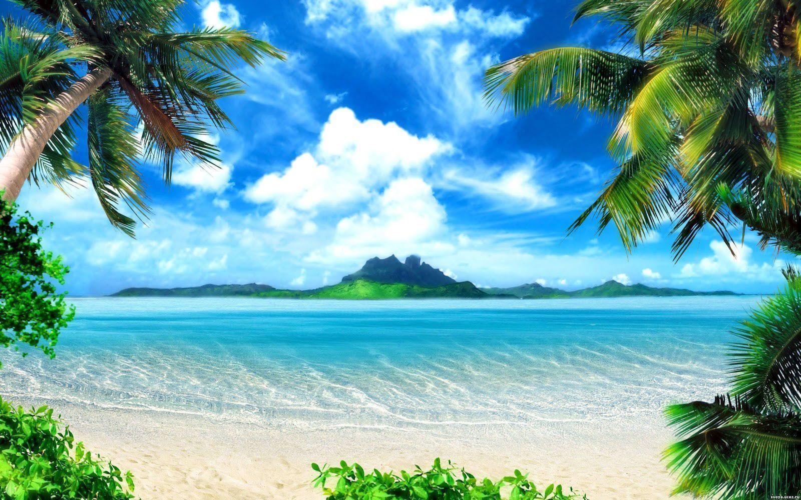 Wallpaper For > Background Image Nature Beach