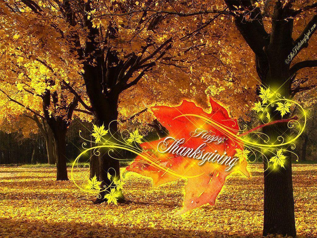 Happy Thanksgiving Day 3D, Image, Wallpaper 2014