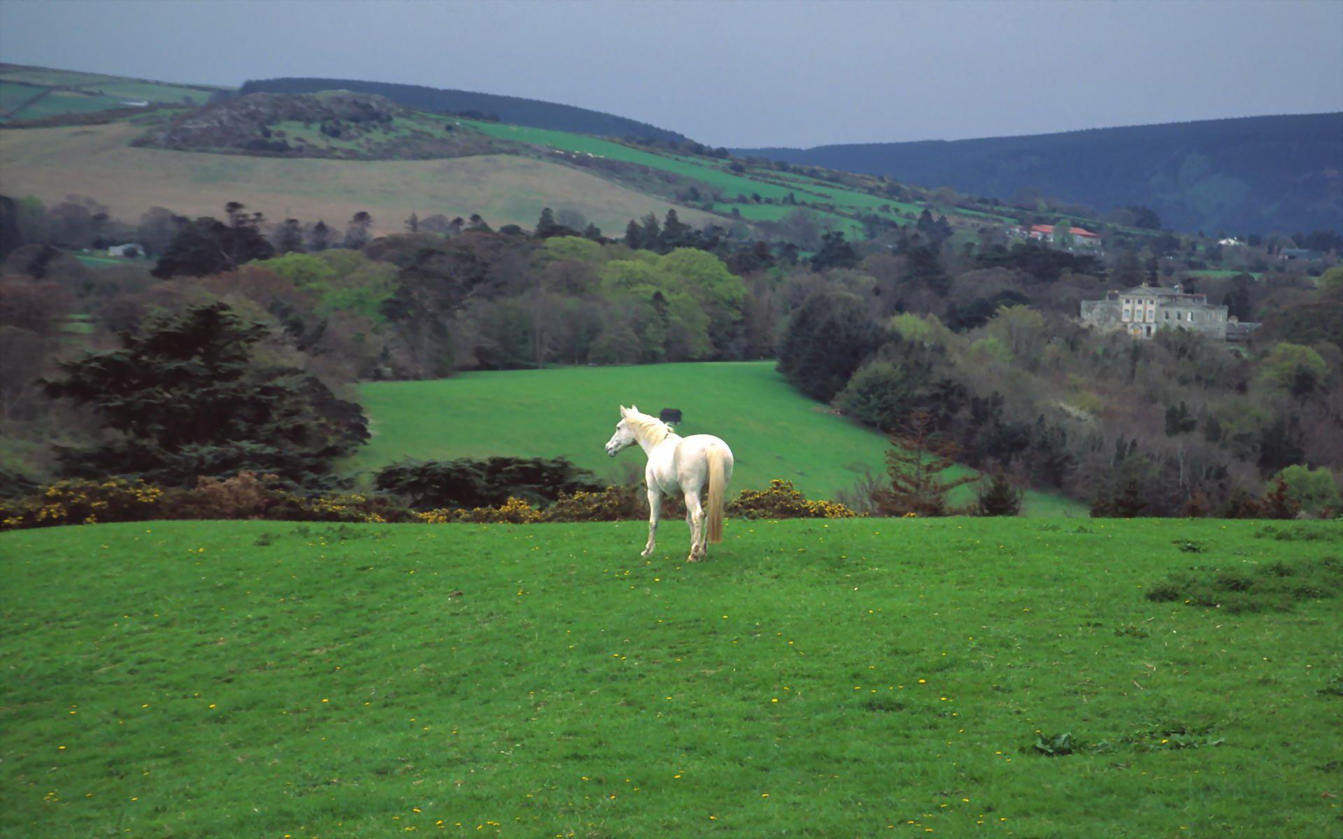 Hd Wallpaper Related Picture Irish Countryside Wallpaper