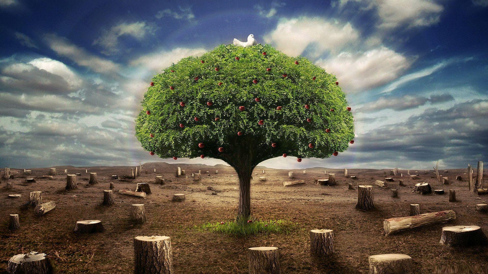 Desktop wallpaper 173171