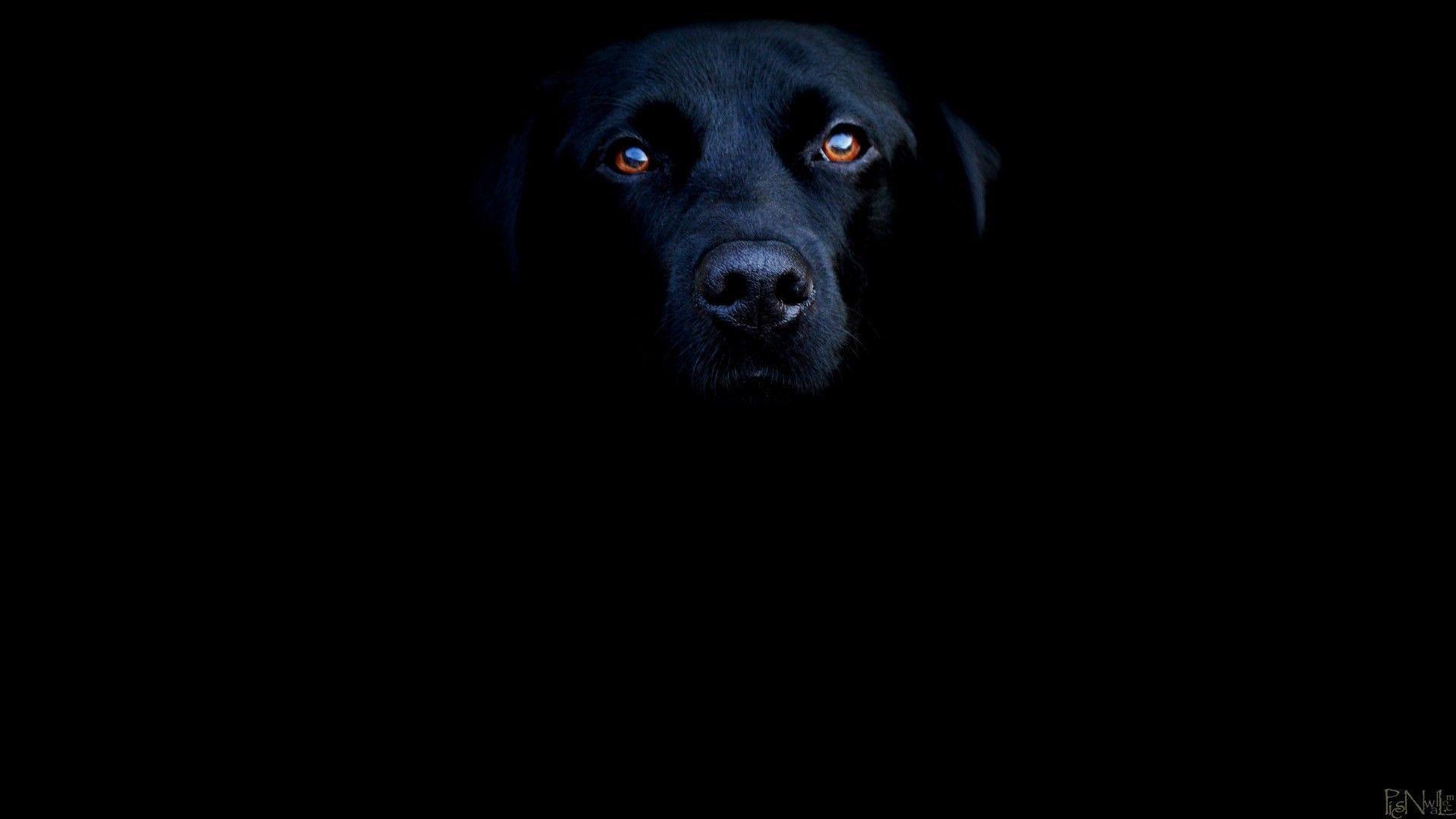 Black Desktop Wallpaper