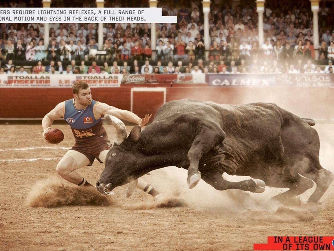 The thrill of bullfighting sports wallpaper