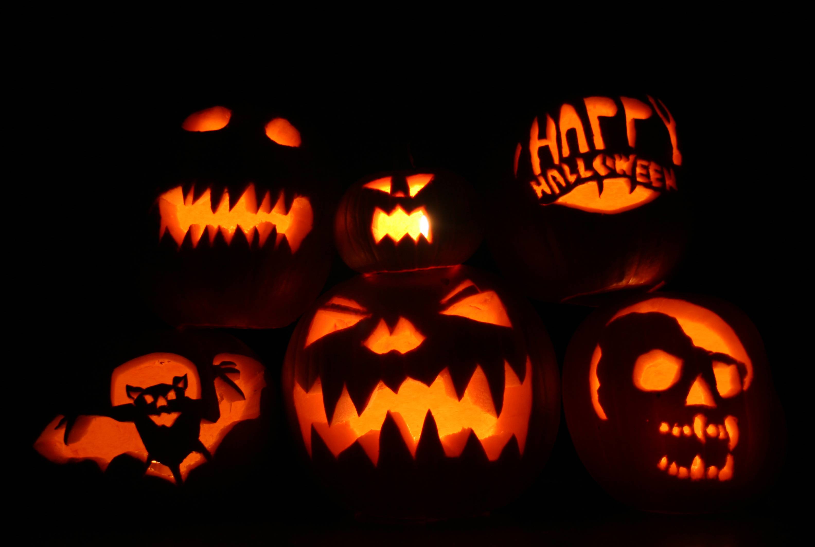 Pumpkin Wallpaper