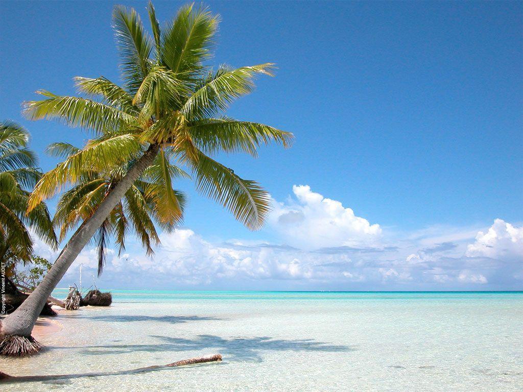 Tahiti Beach Wallpaper High Res Pics 23357 Wallpaper. Cool