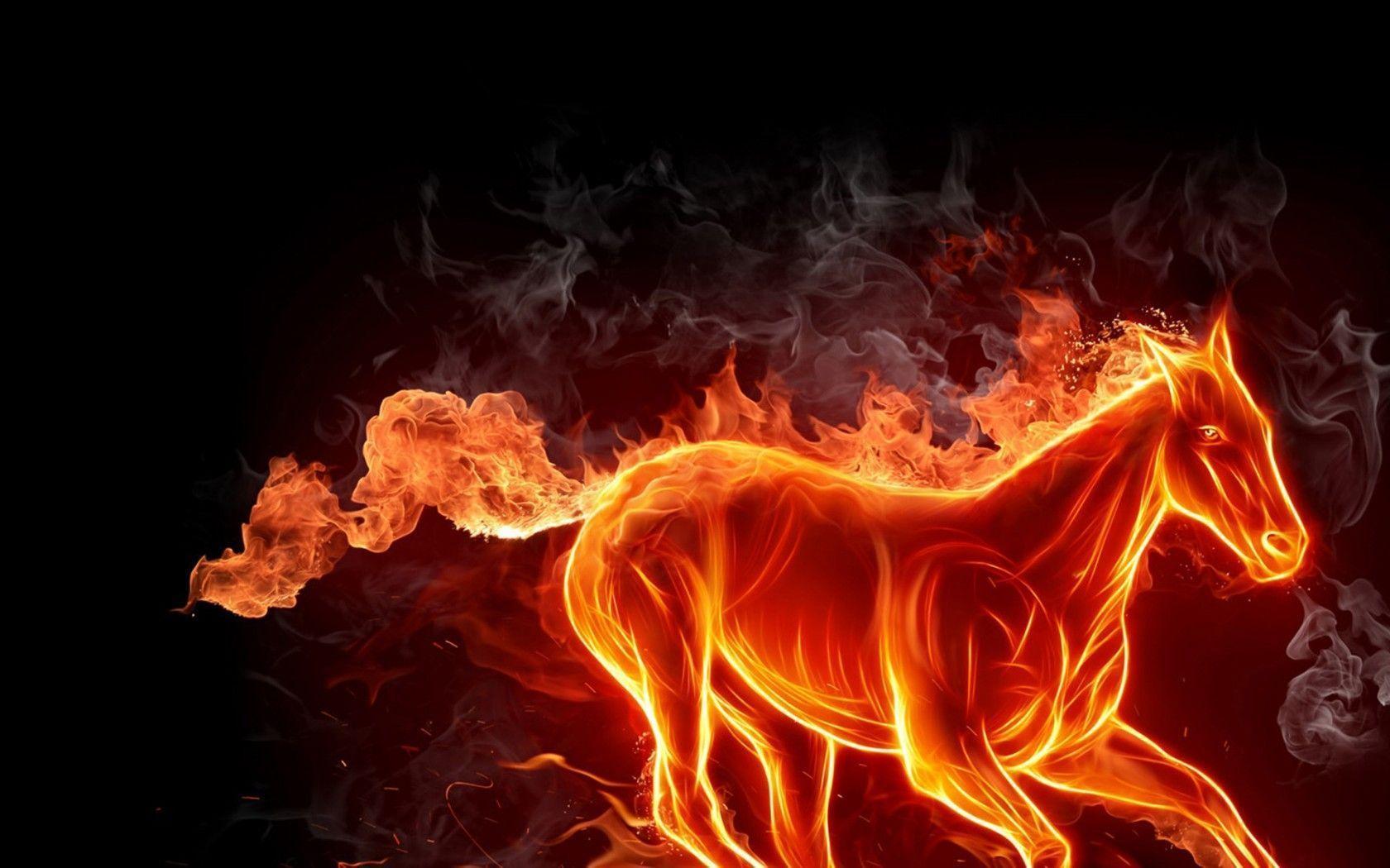 Horse Fire Widescreen Photo Nice Background 1080p Wallpaper Best