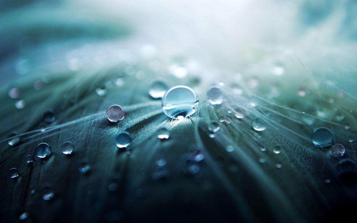 Animated Raindrops Wallpaper 38770 HD Picture