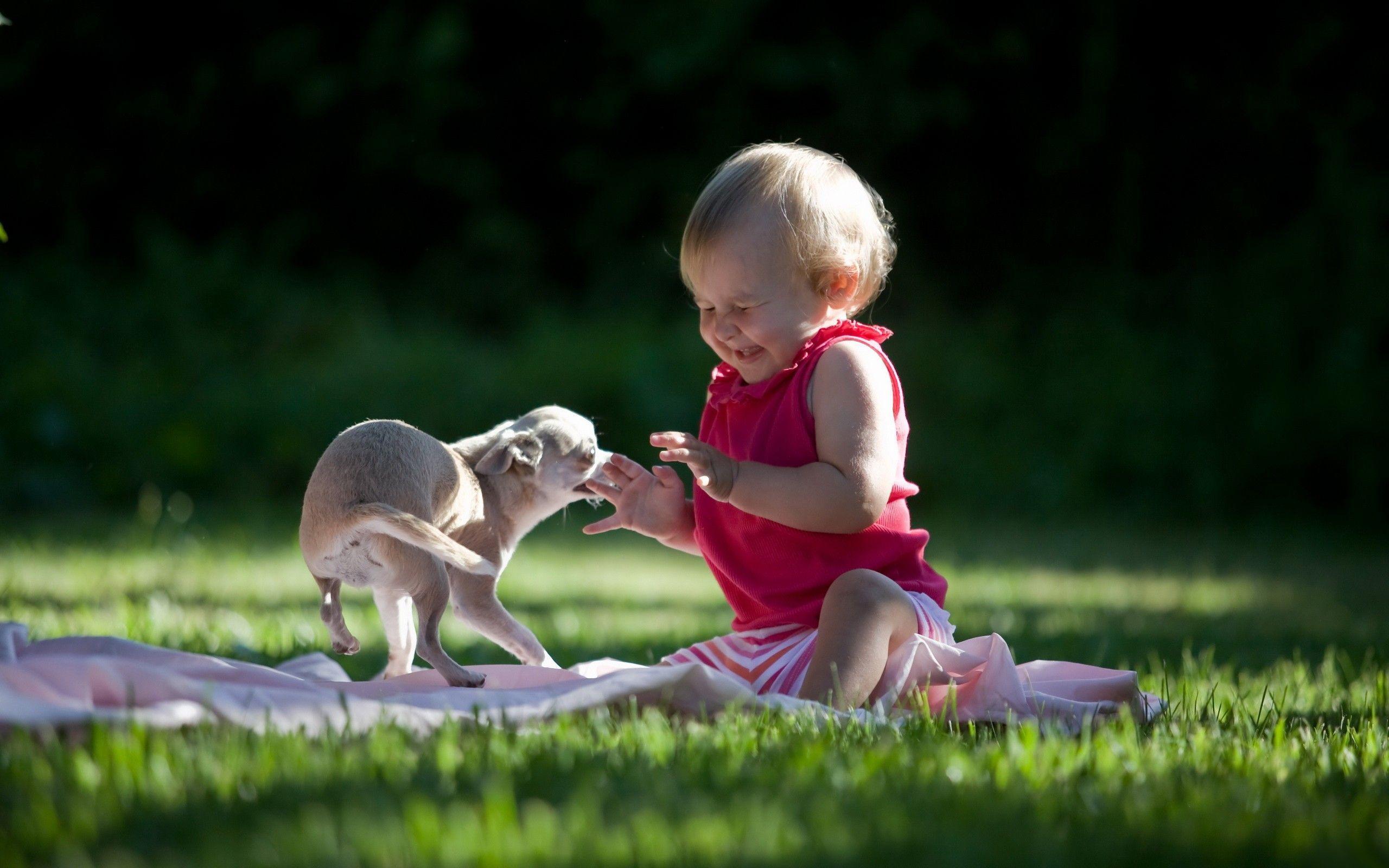 dog and baby