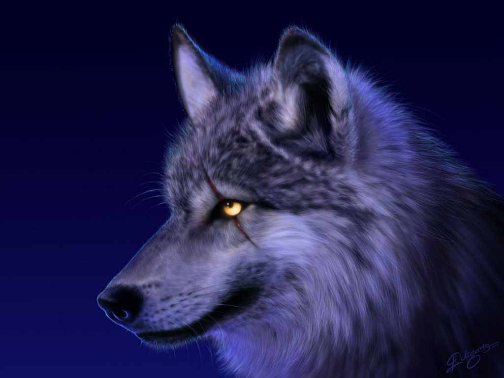 Wallpaper For > Anime Wolf Wallpaper