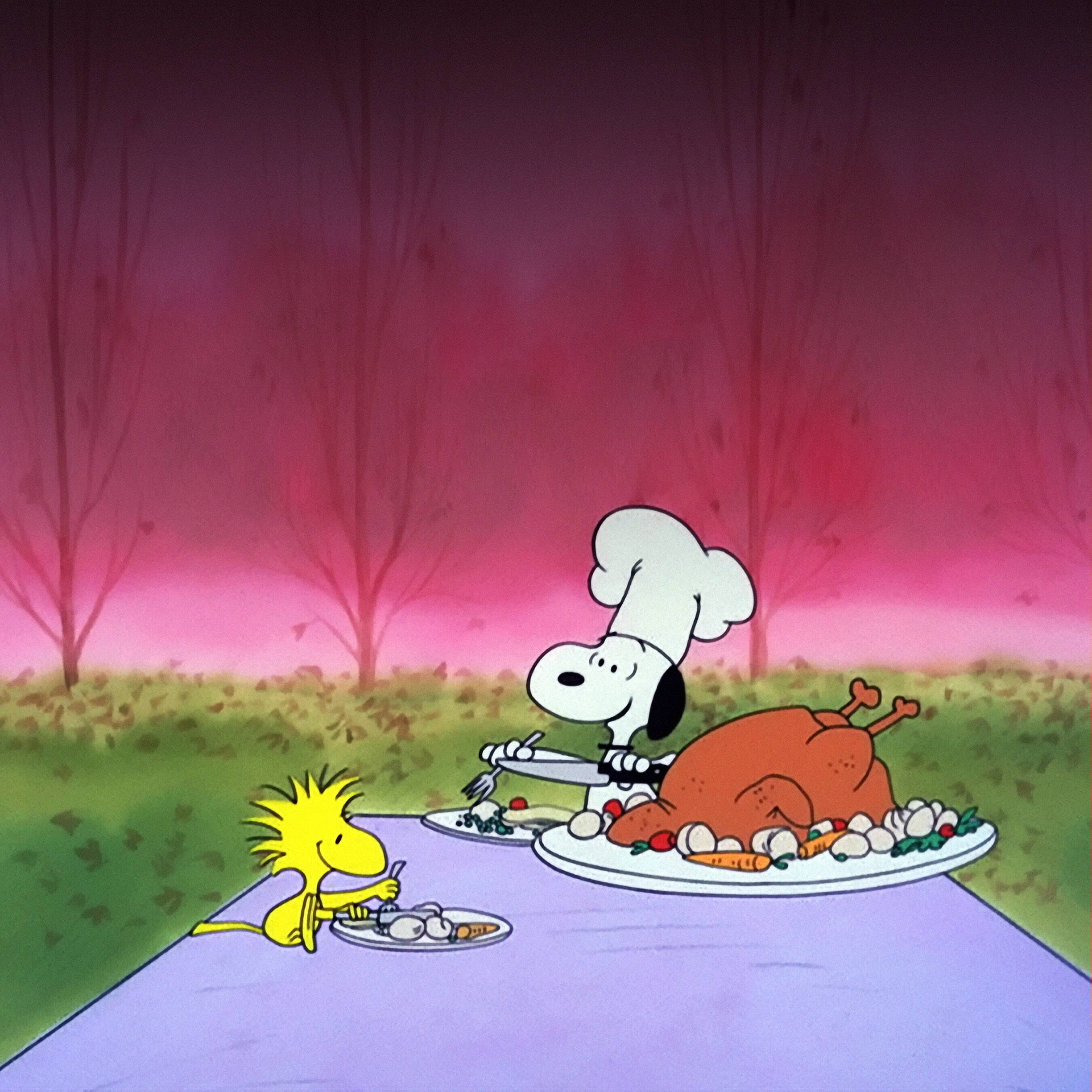 Charlie Brown Thanksgiving Wallpapers - Wallpaper Cave