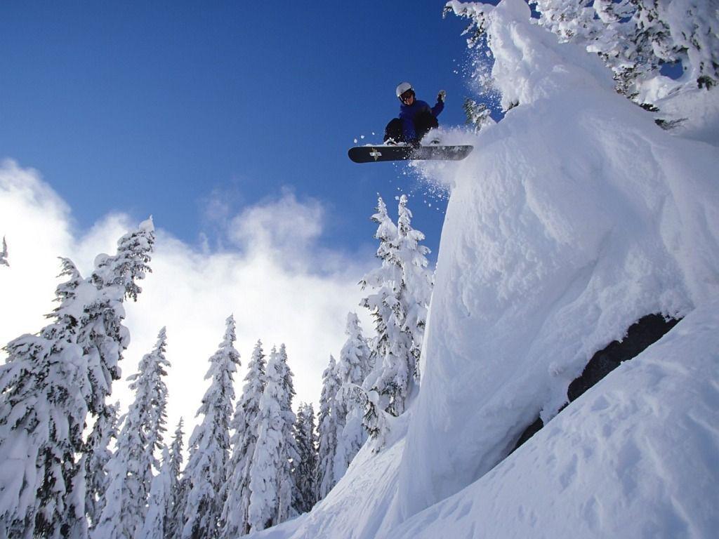 50 バートン Snowboard 壁紙 ただ素晴らしい花