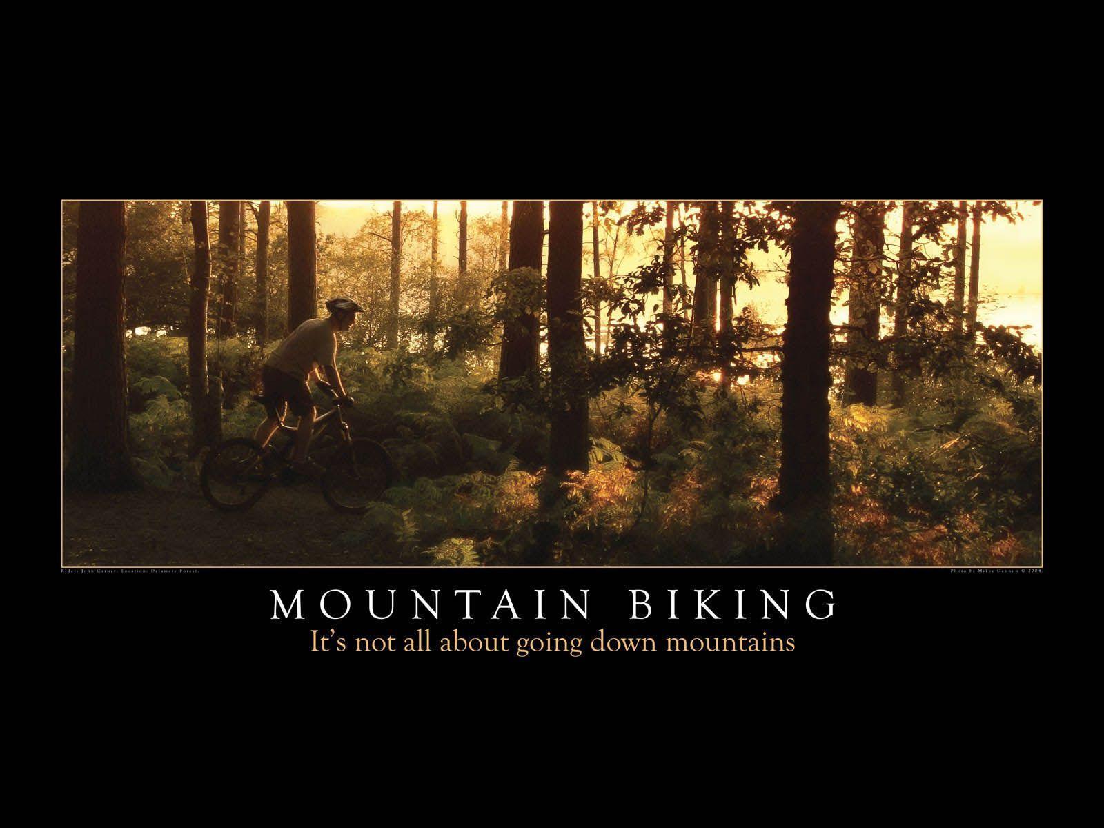 Mountain Biking Wallpaper