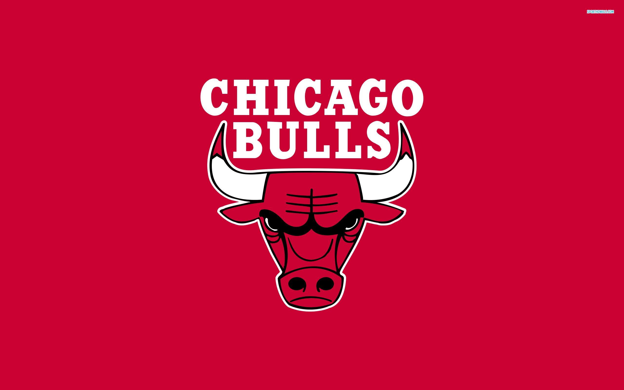 Chicago Bulls logo  Chicago bulls wallpaper, Chicago bulls basketball, Chicago  bulls logo