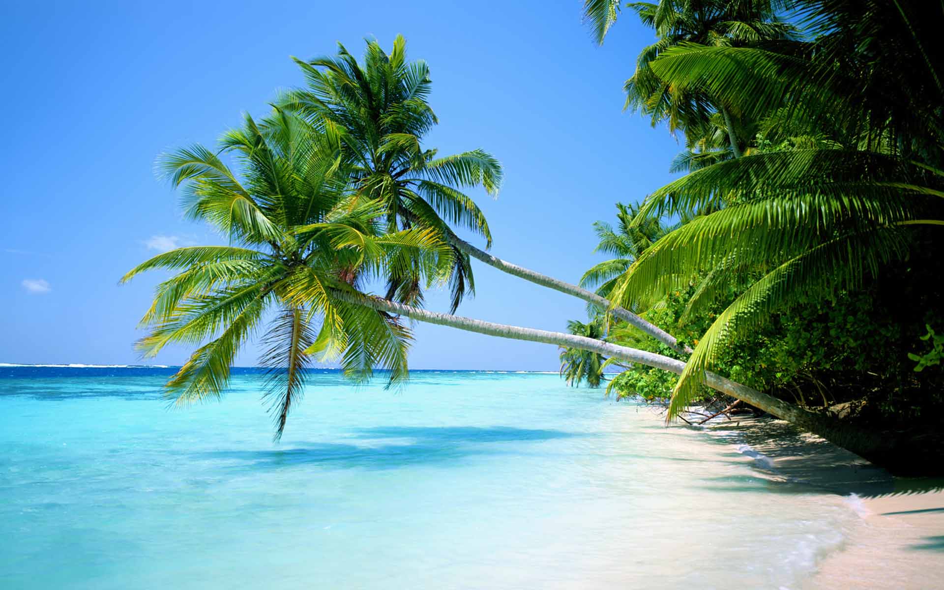 Tropical Beach Wallpaper Widescreen Wallpaper 5352