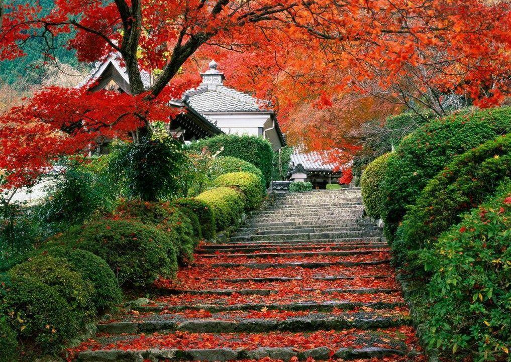 Fall Nature Background 15263 HD Wallpaper in Nature