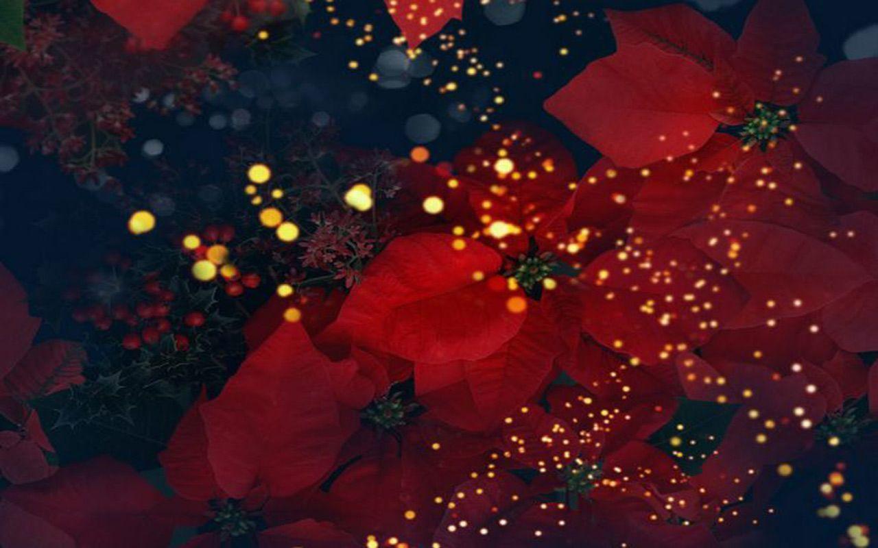 Background For Laptops Free Free Download Spring