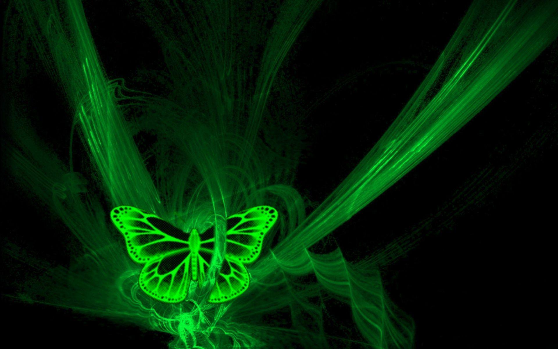 Green Butterfly Cartoon Wallpaper