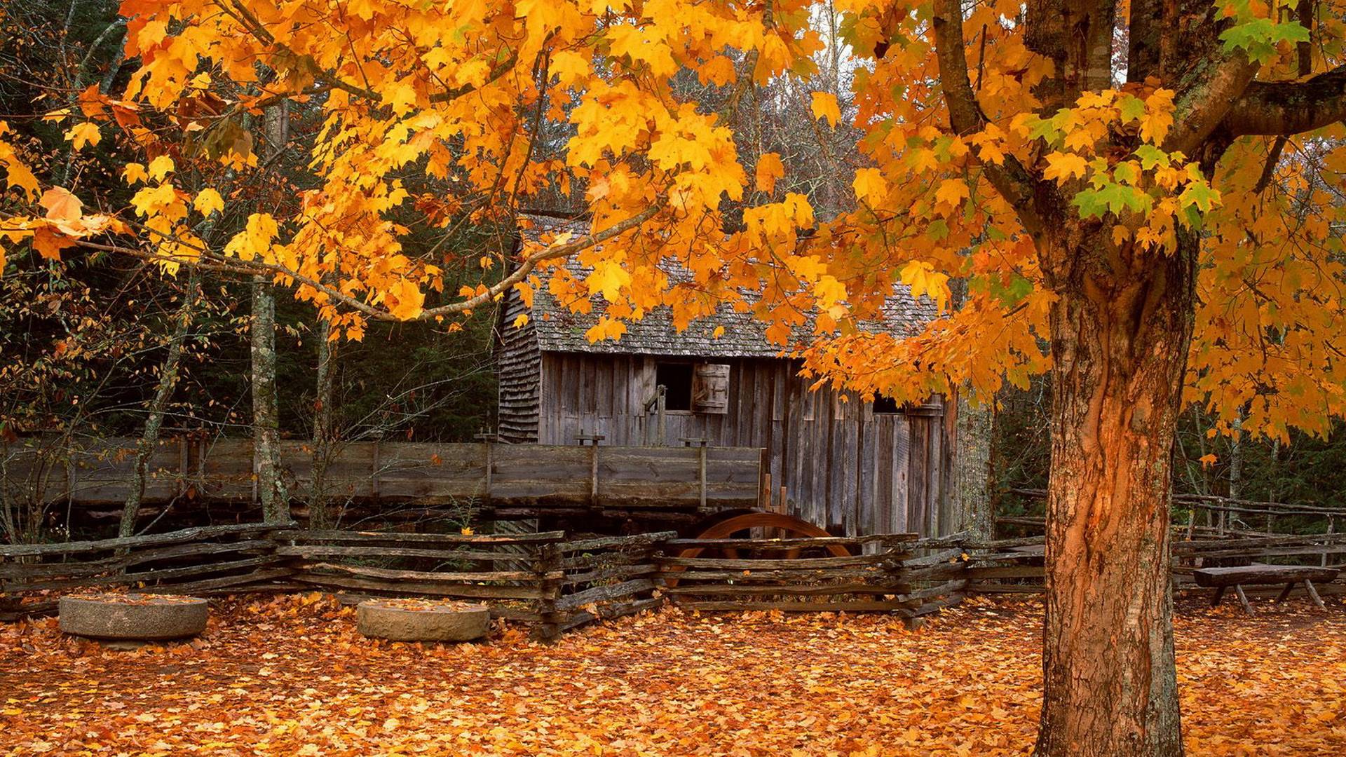 Download Autumn Cabin Wallpaper 1920x1080