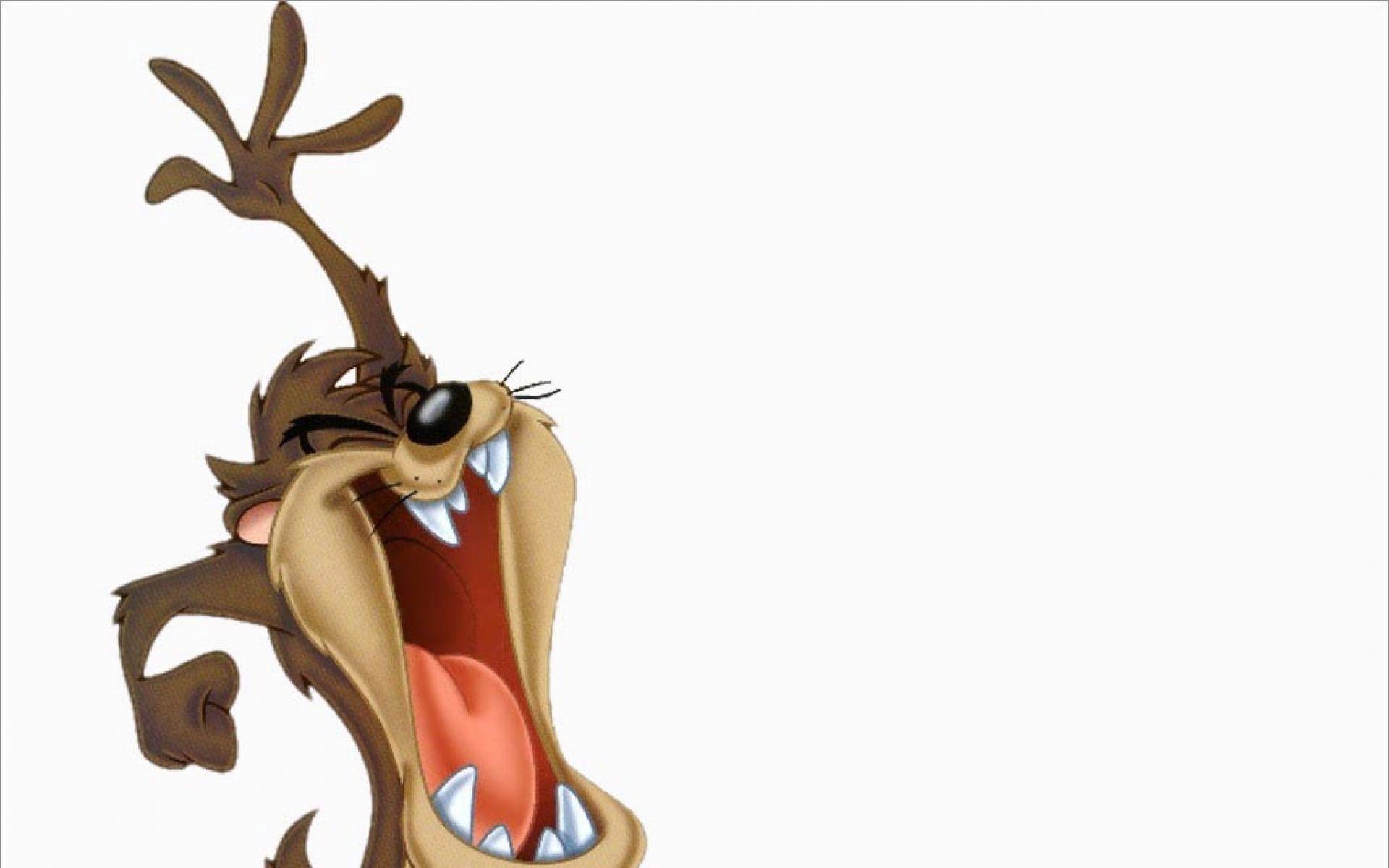 Tasmanian Devil Wallpapers - Wallpaper Cave