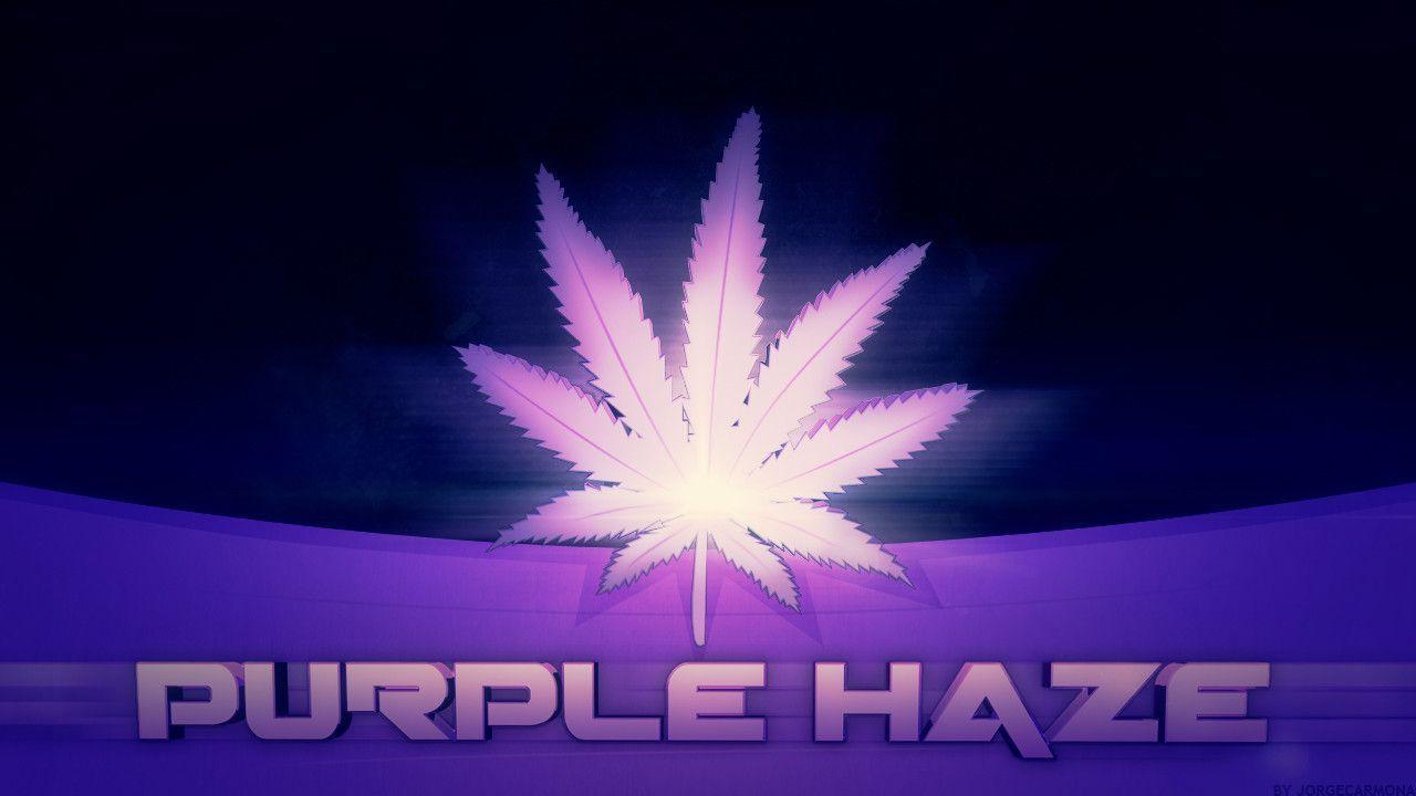More Like Purple Haze By Jorge Carmona