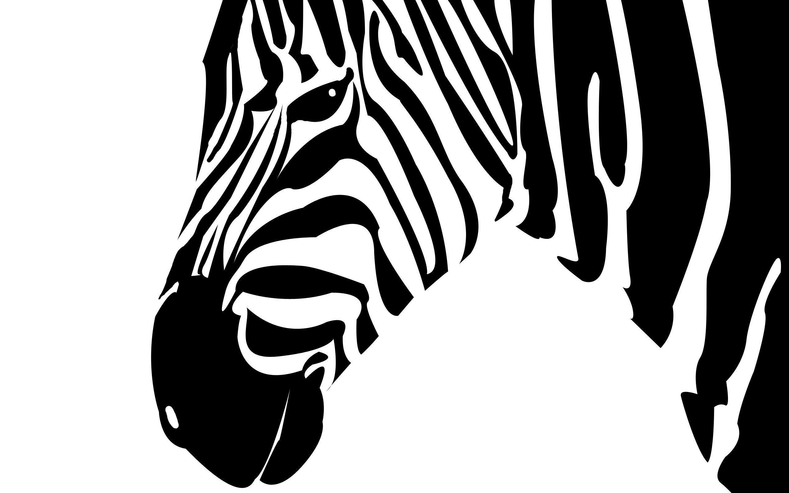 Zebra Computer Wallpaper, Desktop Background 2560x1600 Id: 345459