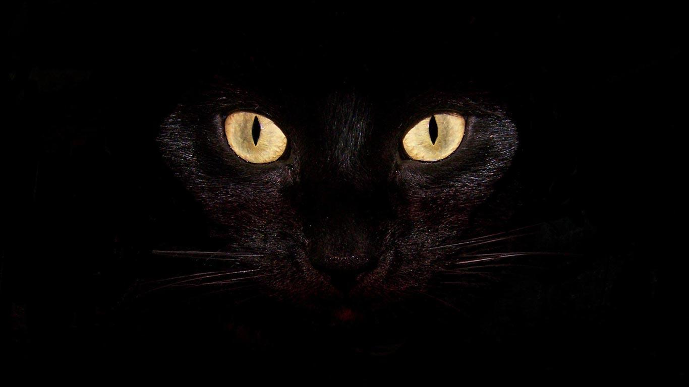 free wallpaper laptop