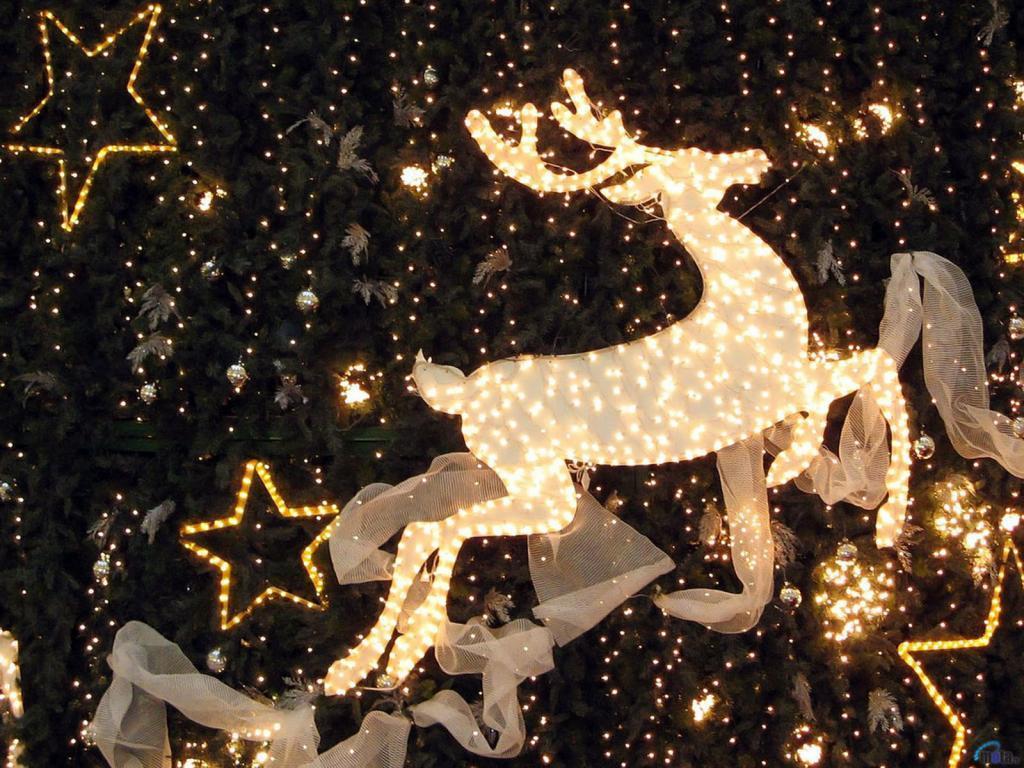 Christmas Deer Wallpapers  Top Free Christmas Deer Backgrounds   WallpaperAccess