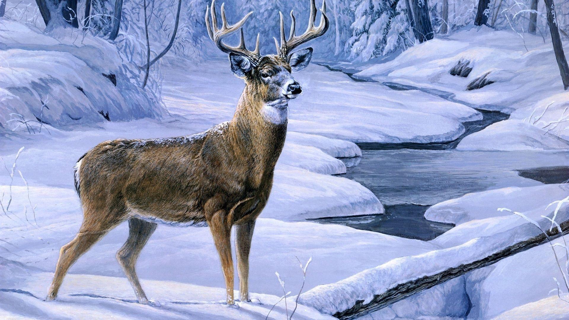 Hd Deer Hunting Wallpaper 1920x1080. HD Wallpaper. Desktop