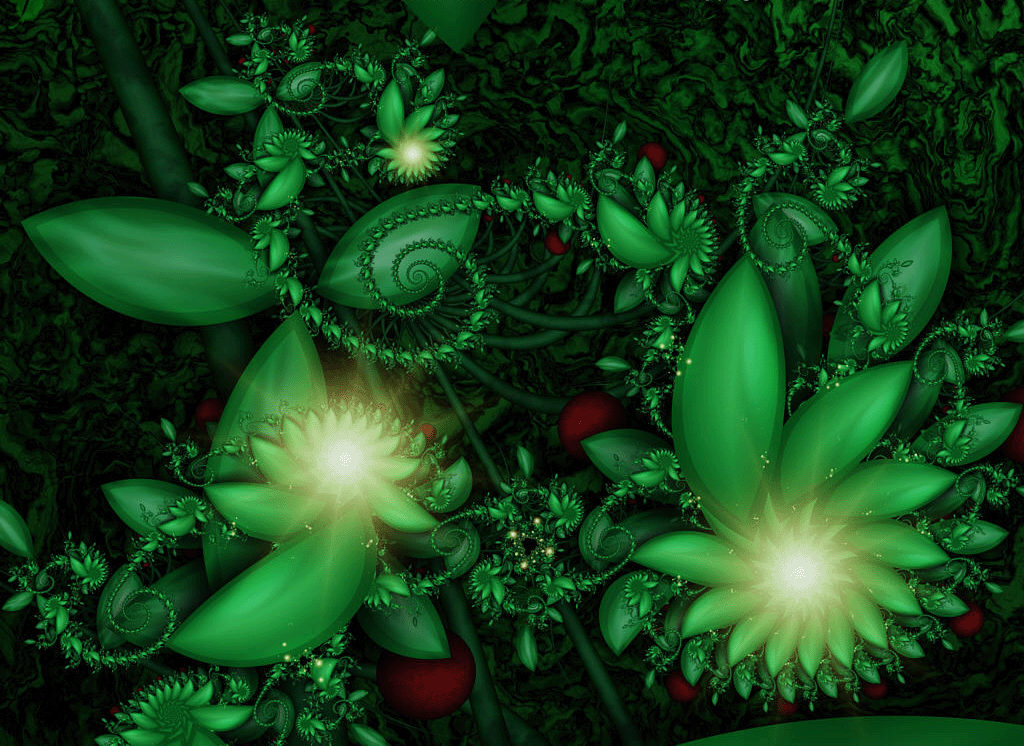 Fairies Wallpaper and Picture Items