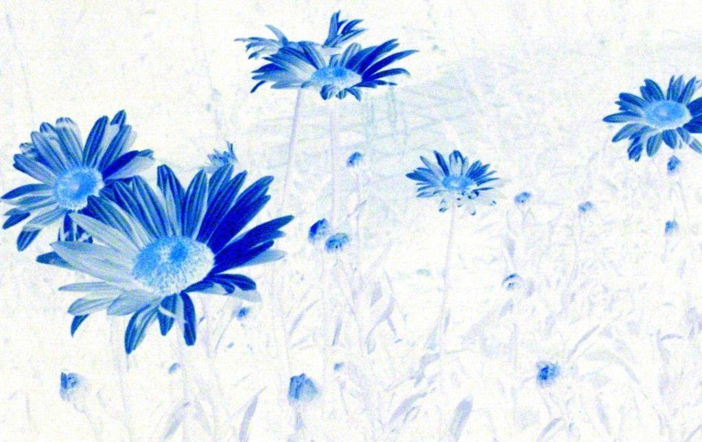 Thought Wallpaper and Picture Items