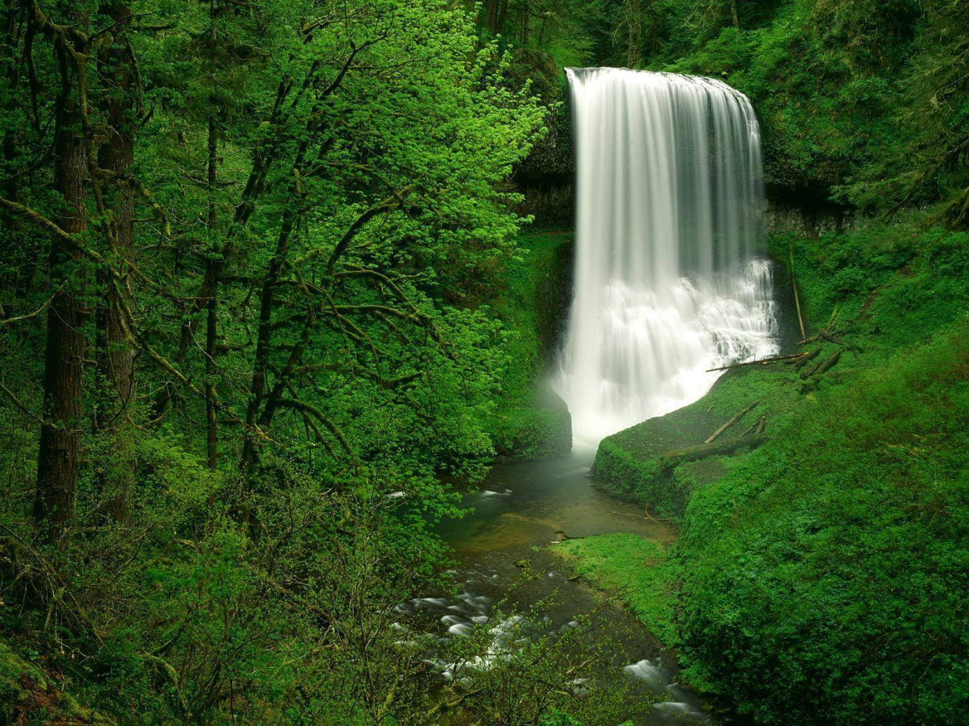 Waterfall in a Green Forest widescreen wallpaper. Wide