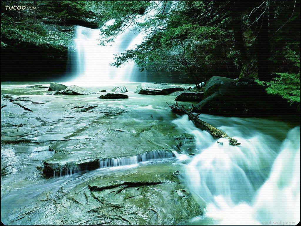 Forest Waterfall Picture Wallpaper Photos Photography10