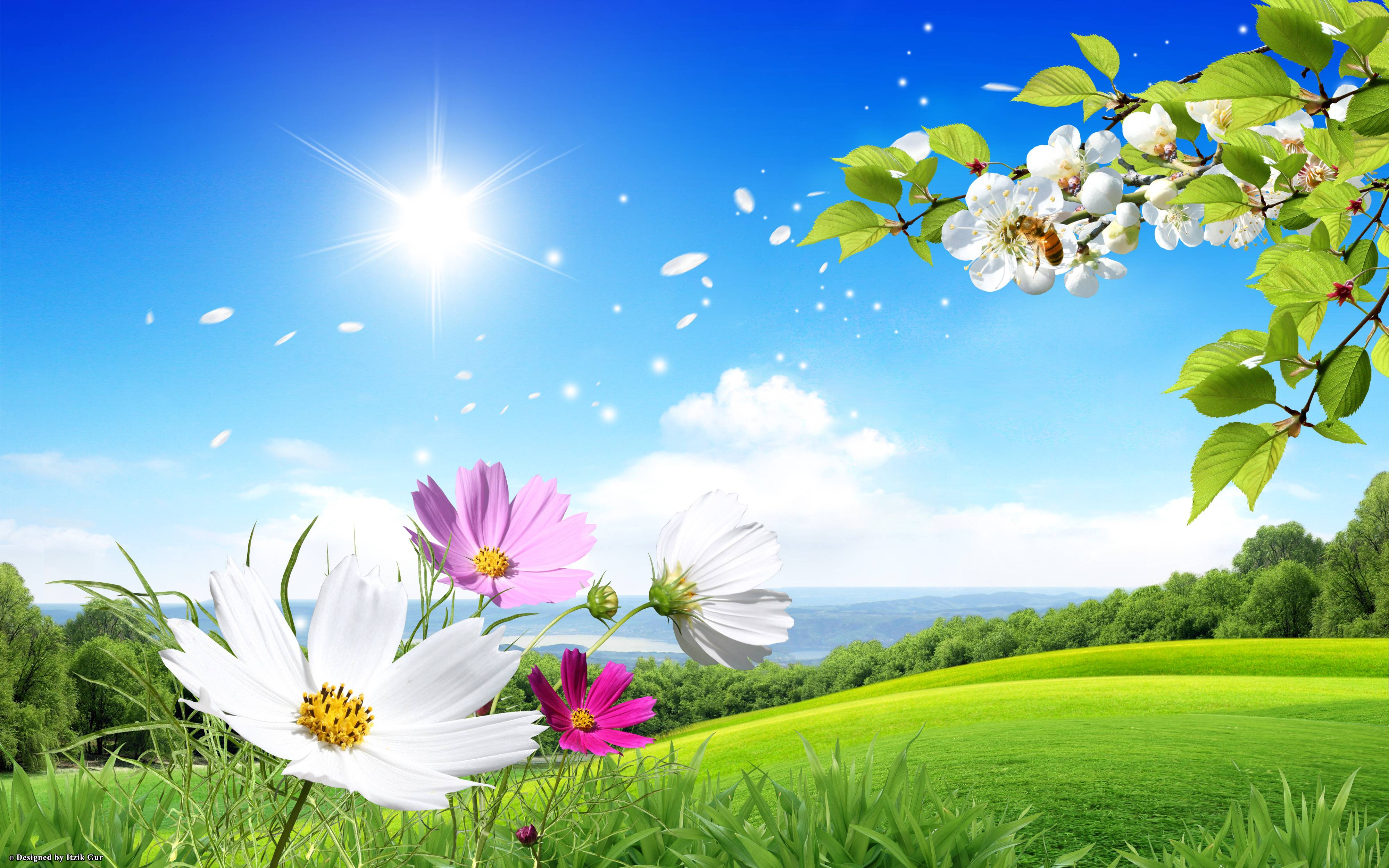 Spring Nature Image Spring Scene Flowers Green Field Nature