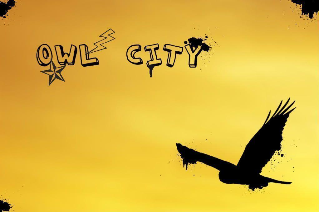 Owl City Wallpaper Free PC Wallpaper And Welcome To