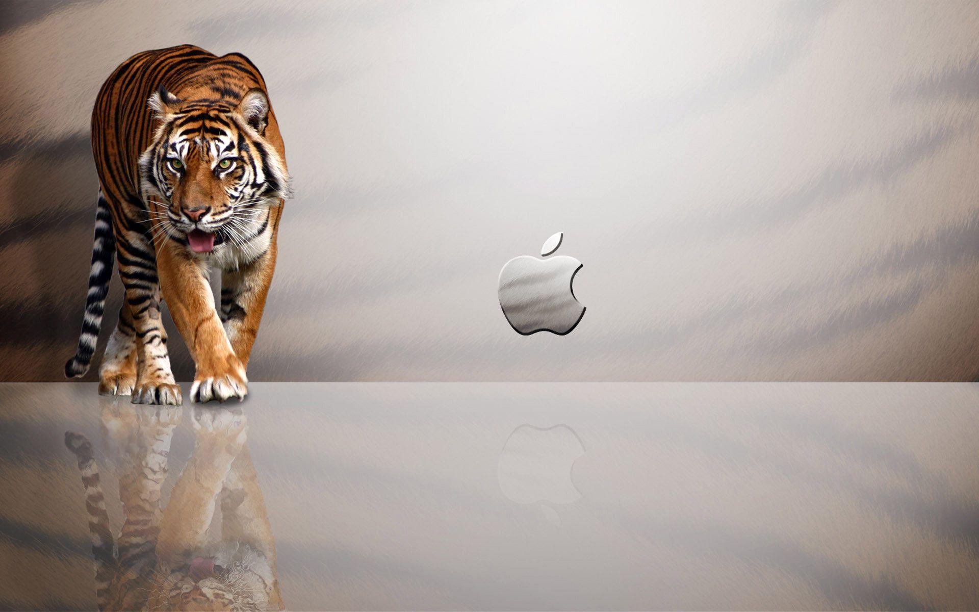 Apple Tiger Mac OS desktop HD wallpaper. High Quality Wallpaper