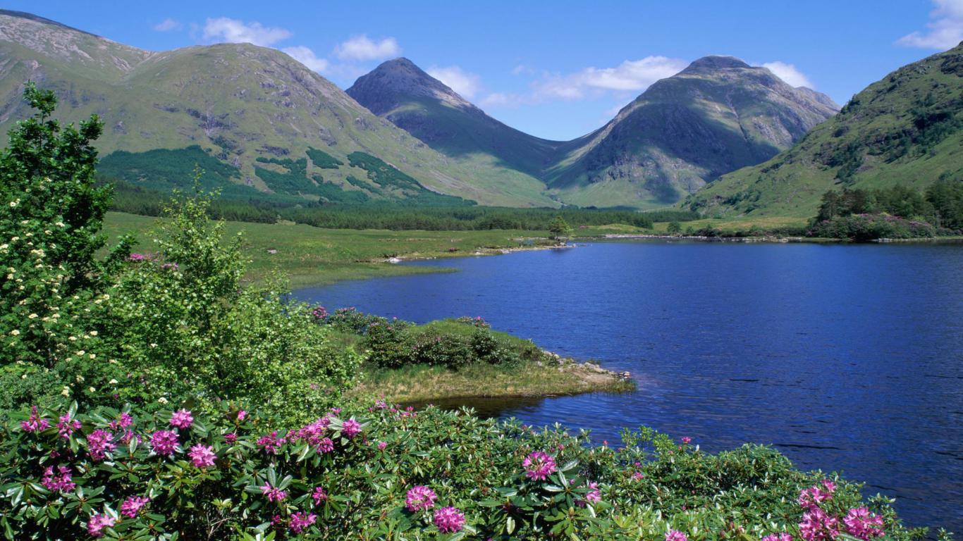 Amazing Lake Spring Landscape