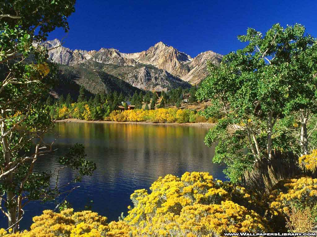 Spring Wallpaper Free Spring Wallpaper Cool Spring HD Wallpaper Spring