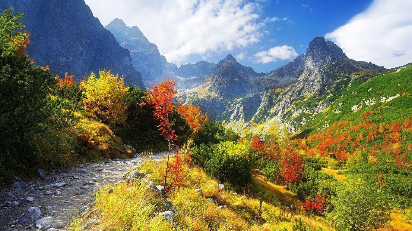 Autumn Fall Mountain Wallpaper, iPhone Wallpaper, Facebook Cover