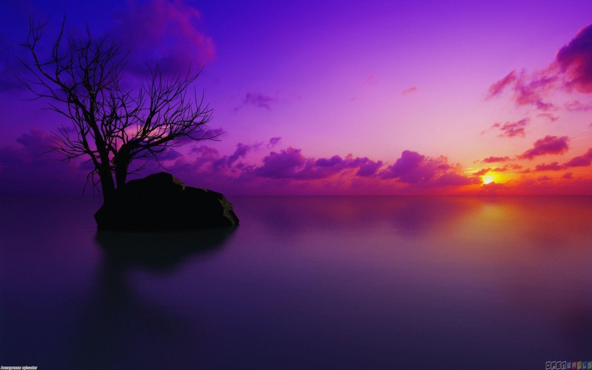 Download background sunset purple twitter rising moon desktop