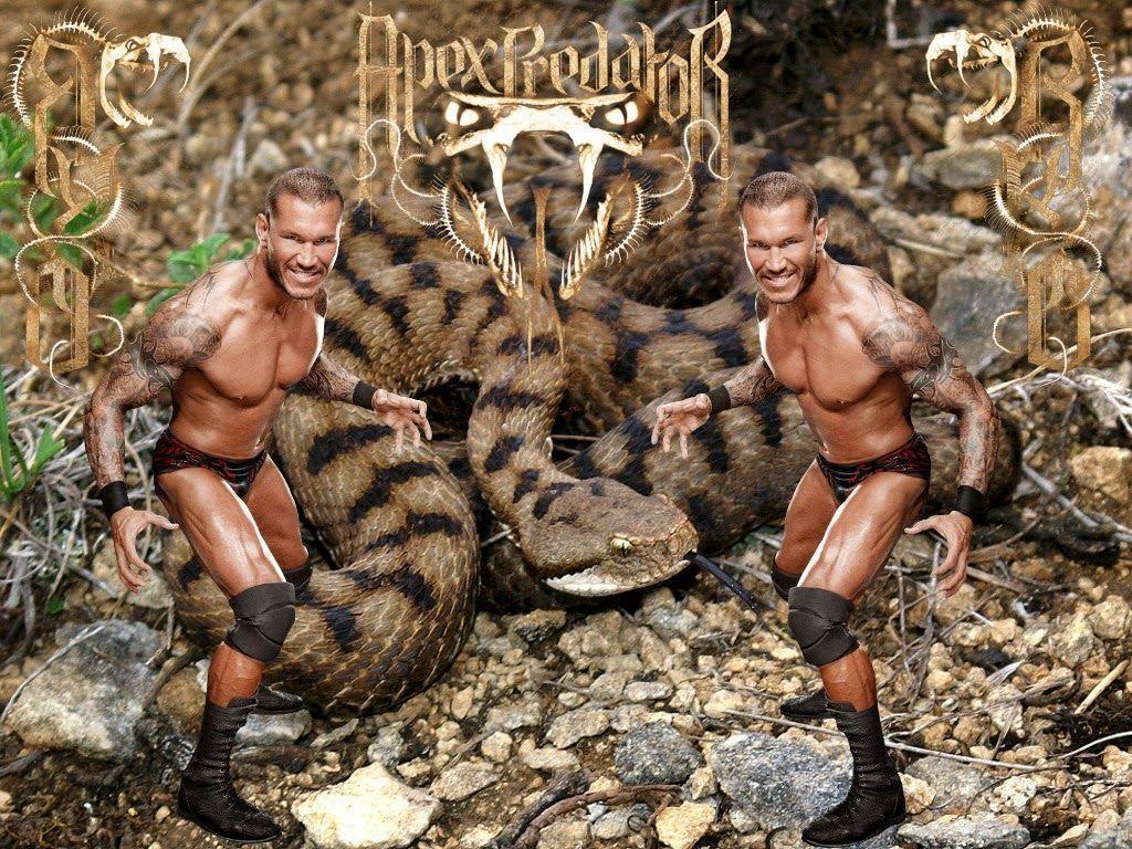 Randy Orton kill Snake HD Wallpaper 2014